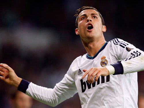 丰富探索动 丰富探索动